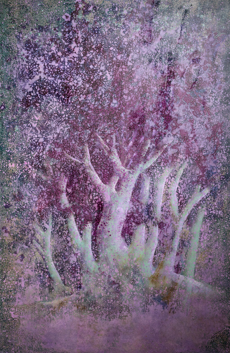 unity of judas tree
