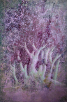 unity of judas tree - thumbnail size