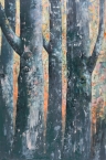 Jungle - thumbnail size