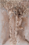 Untitled - thumbnail size
